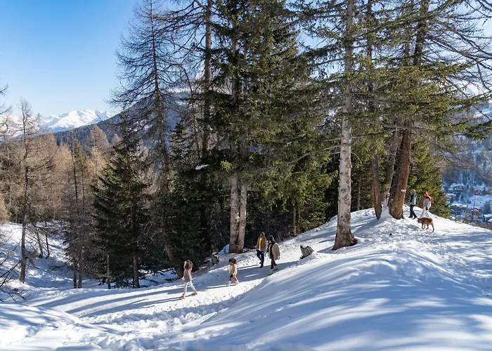 ホテル Club Mmv Le Panorama 3*